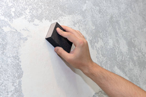Best Forensic Mold Investigation  in Collinsvle, IL