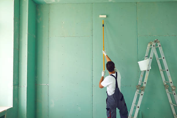 Best Mold Documentation for Insurance Claims  in Collinsvle, IL