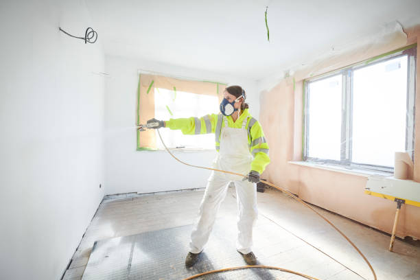 Best Mold Damage Restoration  in Collinsvle, IL