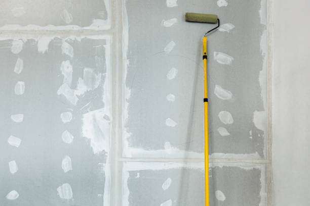 Best Residential Mold Inspection & Testing  in Collinsvle, IL