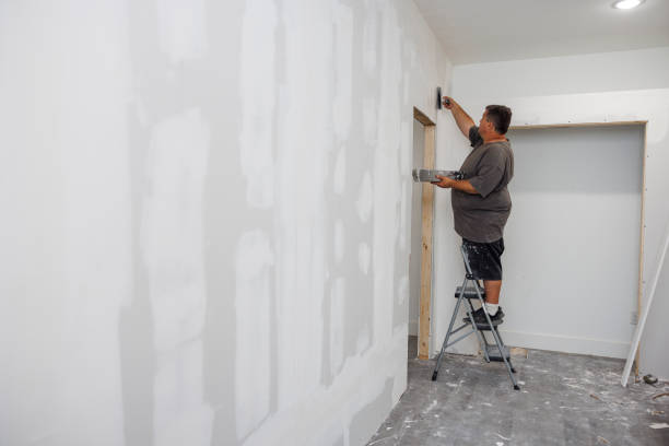 Best Attic Mold Removal  in Collinsvle, IL