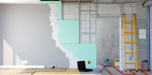 Best Basement Mold Removal  in Collinsvle, IL