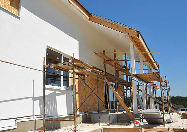 Best Real Estate Mold Inspection  in Collinsvle, IL